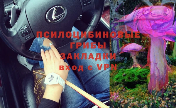 прущие грибы Наволоки