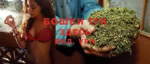 прущие грибы Наволоки