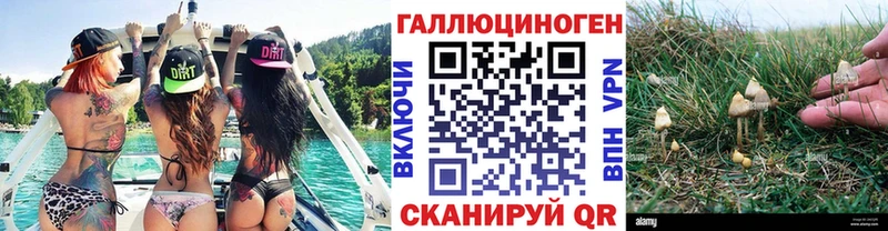 как найти наркотики  Пермь  Галлюциногенные грибы GOLDEN TEACHER 