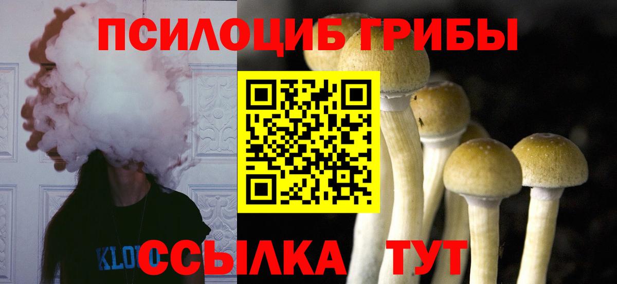 Псилоцибиновые грибы мухоморы  Вход с VPN  Псилоцибиновые грибы прущие грибы  закладки  Пермь 