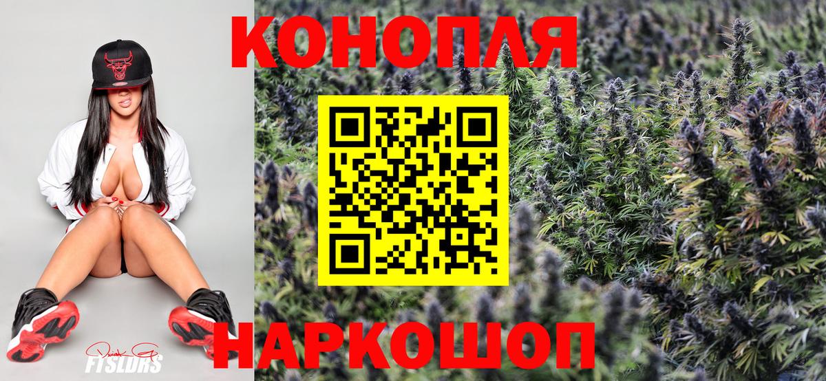 Бошки марихуана сатива  Пермь  Марихуана планчик  Конопля план 